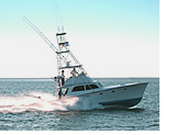 Folly Beach Fishing Charters