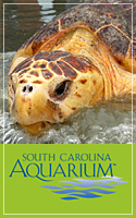 South Carolina Acquarium